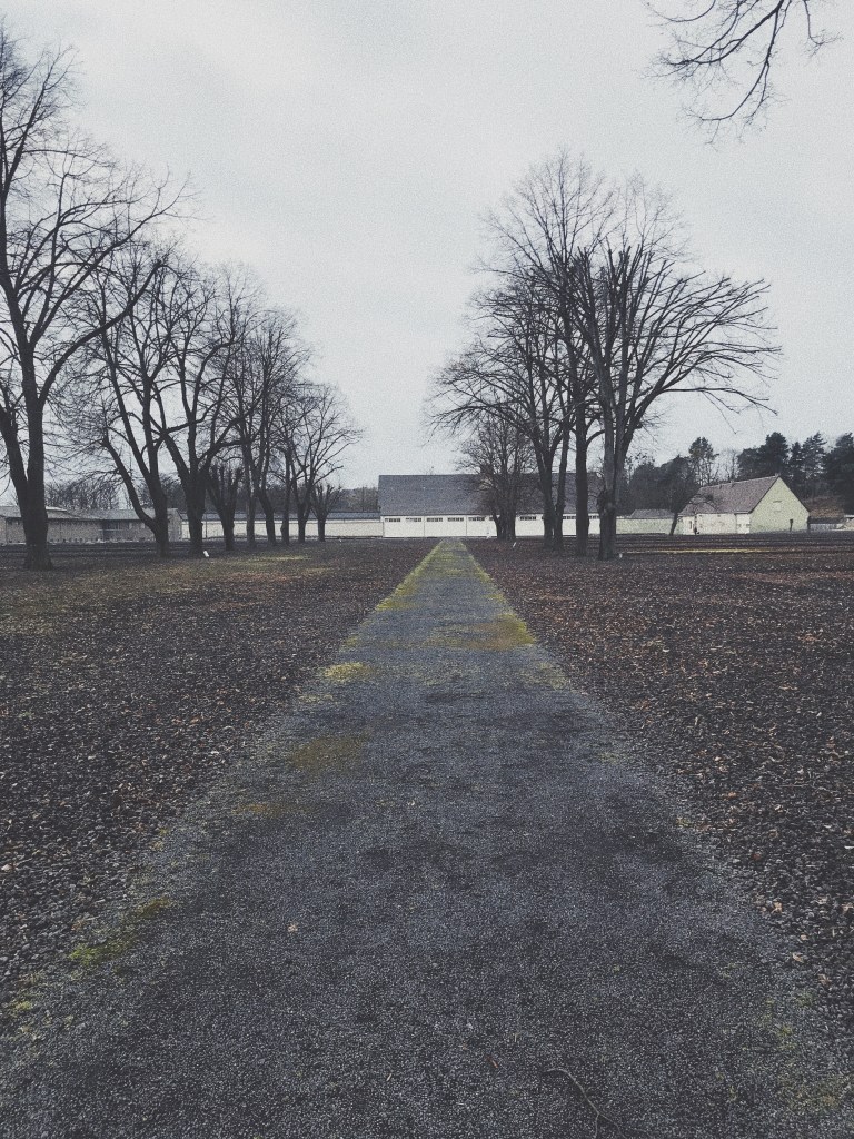 Lagerstraße des Konzentrationslagers Ravenbrück, Blick auf 