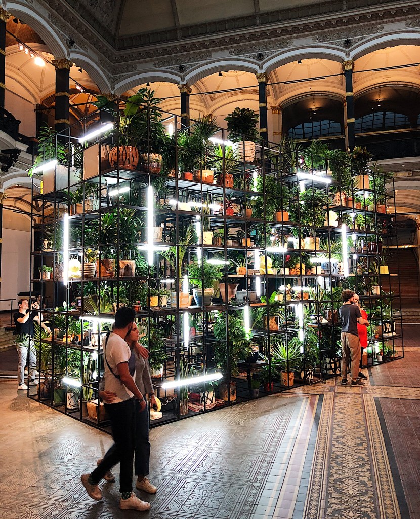 In der Eingangshalle eines historischen Gebäudes mit Säulen rundherum und Bögen, schönen Fliesen auf dem Boden, steht ein Gerüst aus Schwaben Metallstreben. Unzählige Pflanzen stehen in diesem Gerüst. Leuchtröhren bringen das Gerüst zum Leuchten.