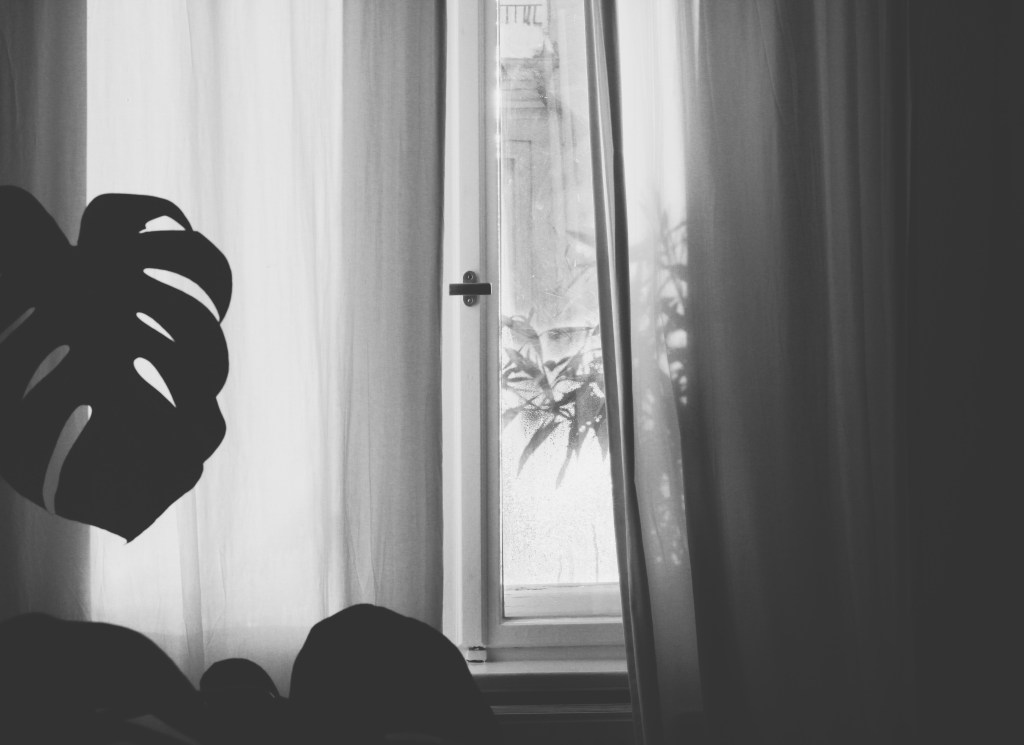 Schwarz/weiß. Ein geschlossenes Fenster, fast vollständig von einem Vorhang verhüllt, durch das Fenster sind Umrisse einer Pflanze zu sehen. Im Vordergrund ragt der schattige Umriss eines Monsterablattes in Bild.
