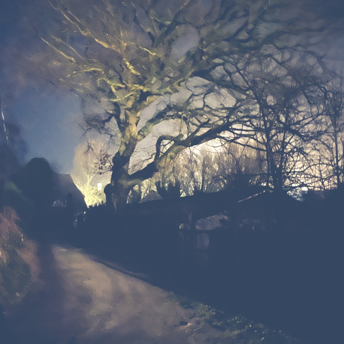 dunkle Straße, eine Häuserfront und ein Baum, der darüberschwebt, im Hintergrund leuchtet der Mond