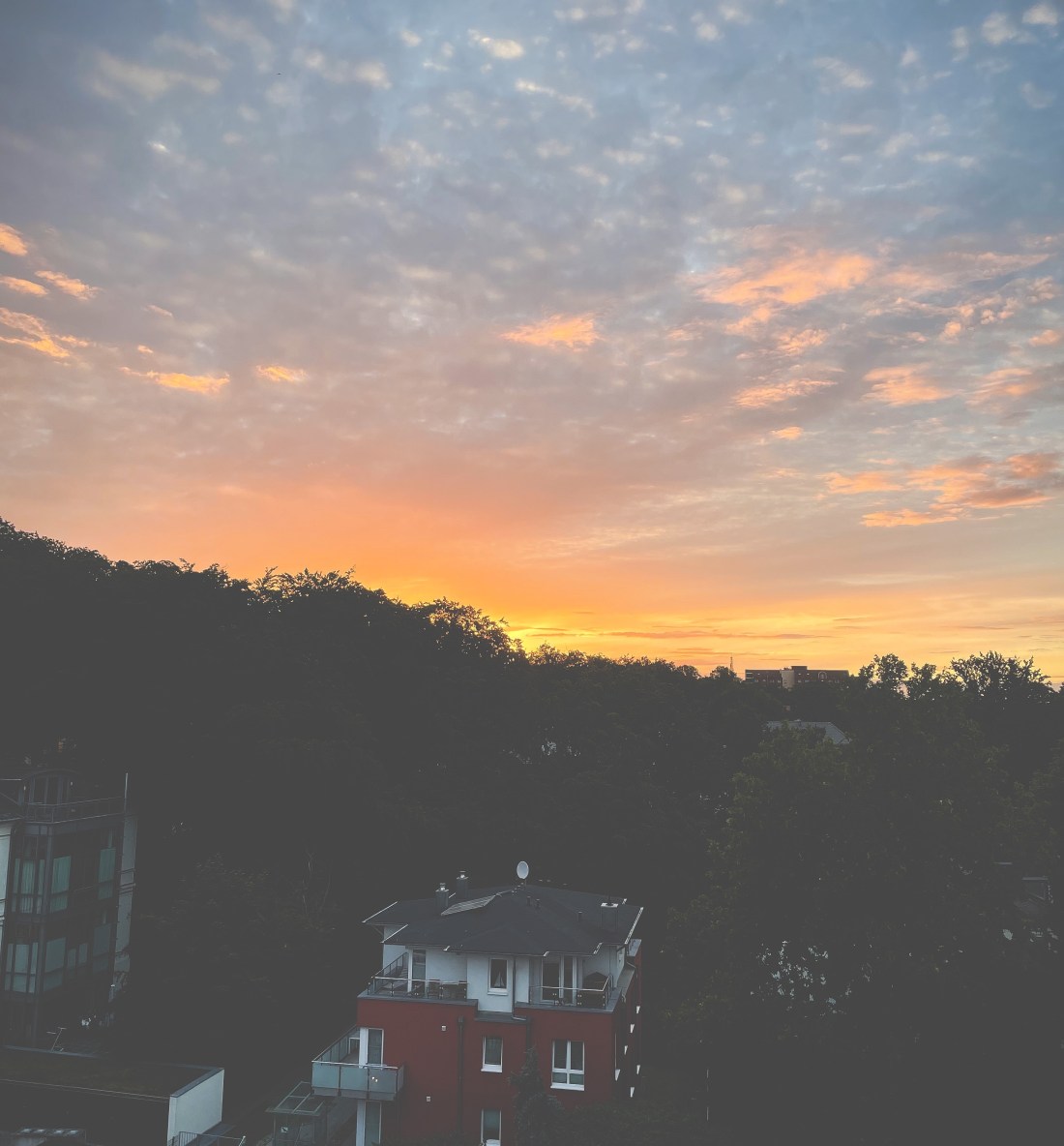 Sonnenuntergang hinter einem leicht ansteigenden Wald, ein Haus steht unten am Hügel