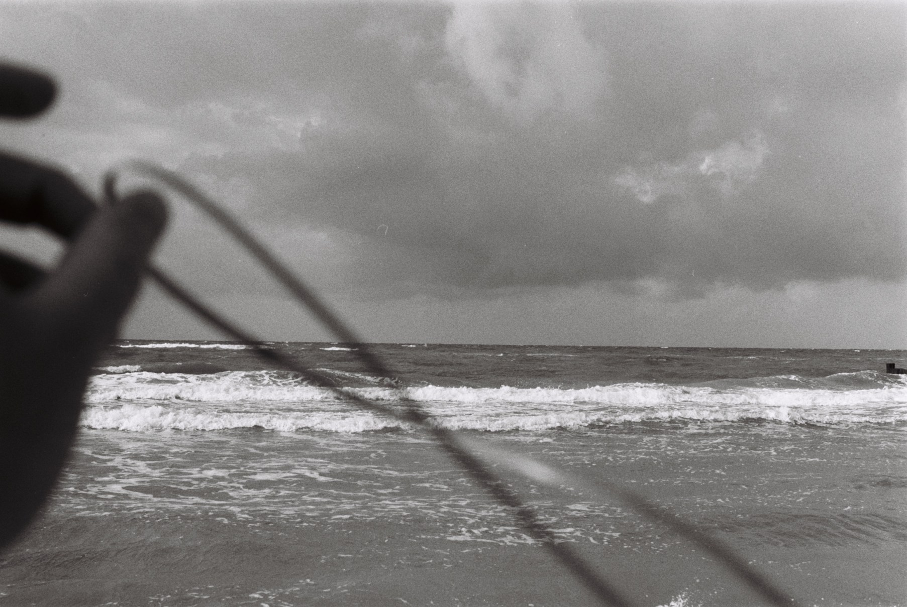 Strand mit Wellen, eine Hand hält Seegras