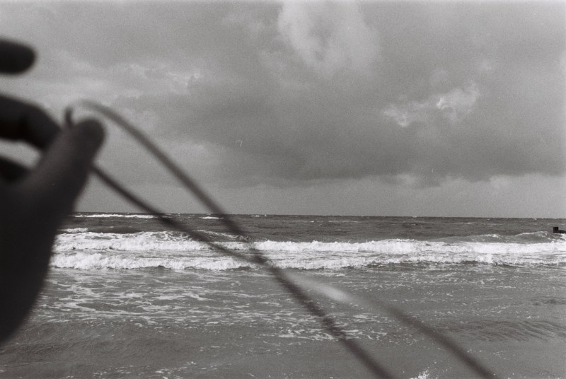 Strand mit Wellen, eine Hand hält Seegras